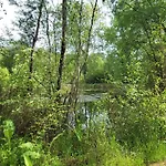 Maison Forenea D'hotes Dans Les Bois Avec Petits Dejeuners Bio לינה וארוחת בוקר