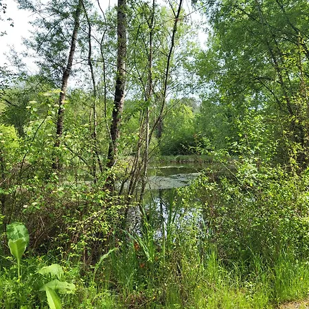 乐穆兰波旁住宿加早餐旅馆 住宿加早餐酒店