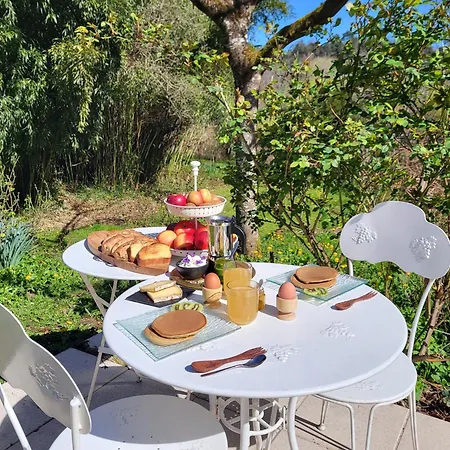Bed & Breakfast Maison Forenea D'hotes Dans Les Bois Avec Petits Dejeuners Bio