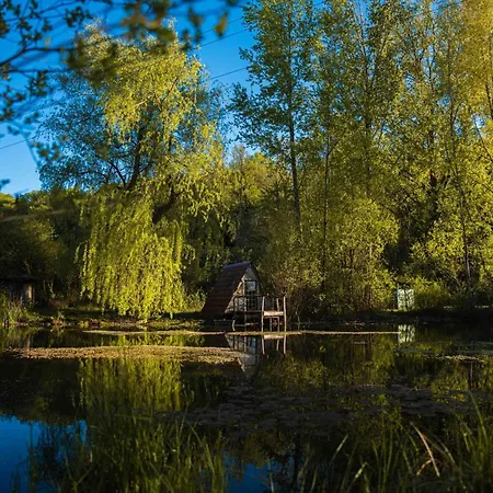 Maison Forenea D'hotes Dans Les Bois Avec Petits Dejeuners Bio Bed & Breakfast Sainte-Nathalène