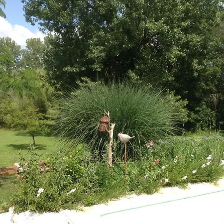 Bed & Breakfast Maison Forenea Sainte-Nathalène
