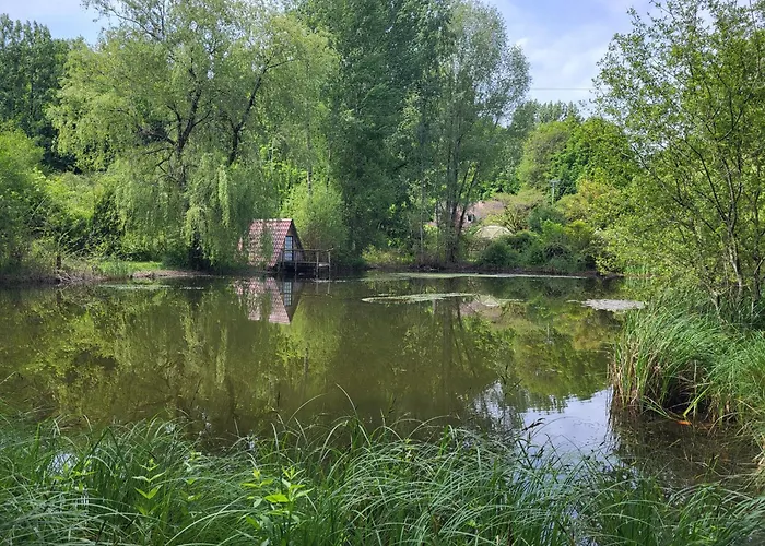 Maison Forenea D'hôtes Dans Les Bois Avec Petits Déjeuners Bio Bed and breakfast Sainte-Nathalène