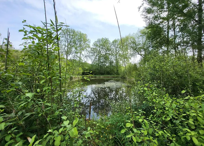 Maison Forenea D'hôtes Dans Les Bois Avec Petits Déjeuners Bio 3*