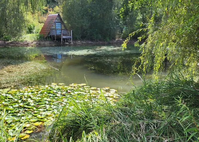 Maison Forenea D'hôtes Dans Les Bois Avec Petits Déjeuners Bio Sainte-Nathalène