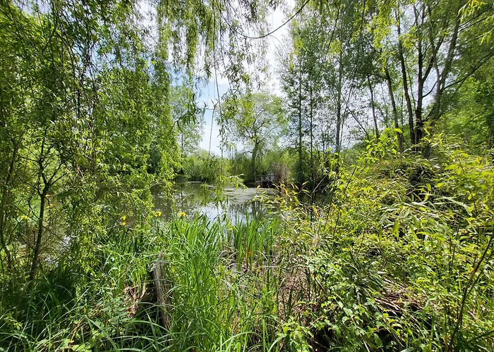 Maison Forenea D'hôtes Dans Les Bois Avec Petits Déjeuners Bio