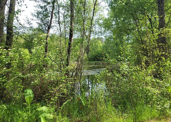 Maison Forenea D'hôtes Dans Les Bois Avec Petits Déjeuners Bio Bed and breakfast