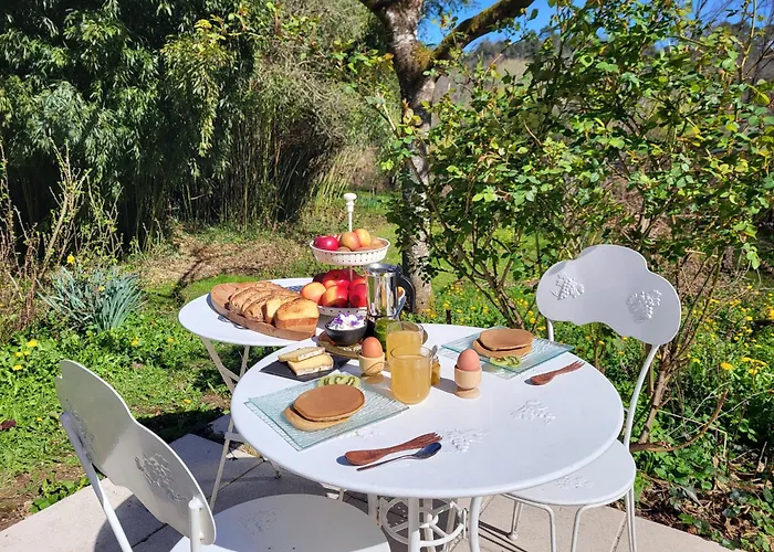 Bed & Breakfast Maison Forenea D'hotes Dans Les Bois Avec Petits Dejeuners Bio